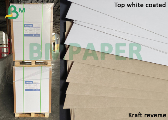 Màu trắng tráng 250gsm cực mịn - Bảng giấy Kraft lót KLB