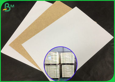 Cuộn giấy kraft 100% bột giấy nguyên chất để làm khay thức ăn nhanh