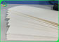 Cuộn giấy dựa trên Cupstock PE tráng 170GSM - Vật liệu phân hủy 210GSM