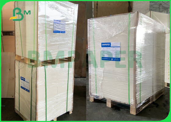 260gsm + 15g PE Giấy tách cà phê cho đồ uống nóng 735mm 780mm có thể phân hủy sinh học