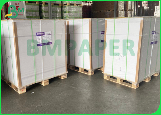 Kraft Top White Containerboard 270gr 300gr Giấy Kraft tráng