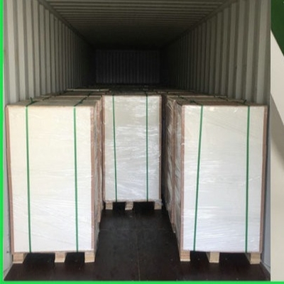 100 % Bột gỗ C1S giấy ngà nhân tạo