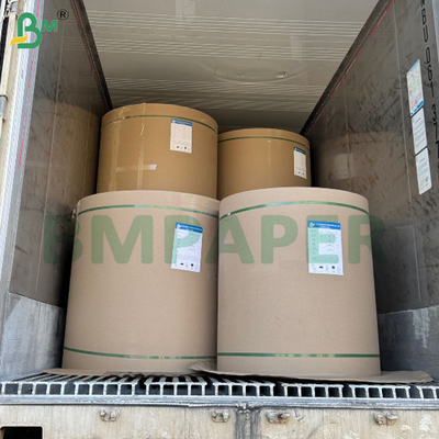 Bảng giấy lọc cà phê trắng và không sơn 50gm