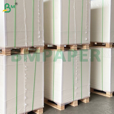 100% giấy bột gỗ bảo vệ bao gồm giấy túi trái cây cho guava màu trắng