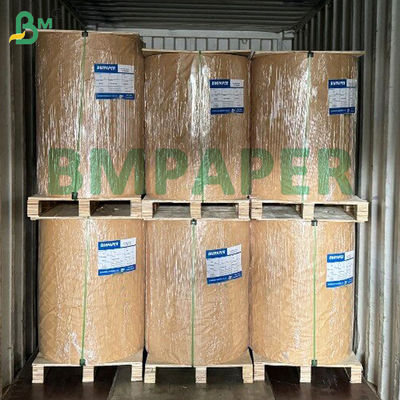 Giấy bìa vỉ phủ nhiệt 320gsm 350gsm C1S