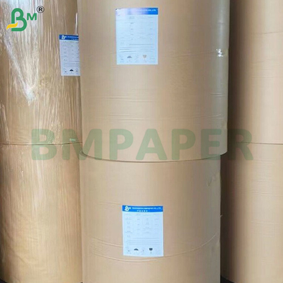 Giấy Cup Stock tráng PE bóng 250+15gsm Virgin Pulp