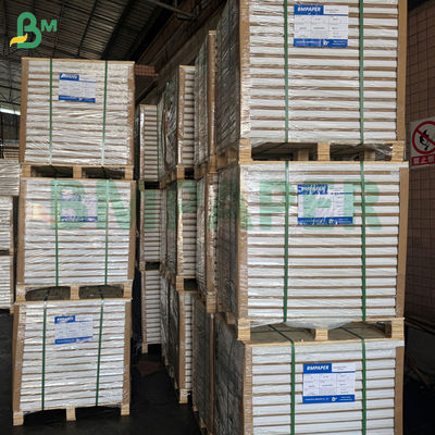 Giấy tráng kim loại chịu ẩm 68gsm 70gsm cho nhãn bia 70 x 100cm Chống thấm nước