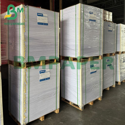 Giấy Kraft trắng cán màng chống thấm dầu 75gsm dùng cho thực phẩm nướng 500x600mm