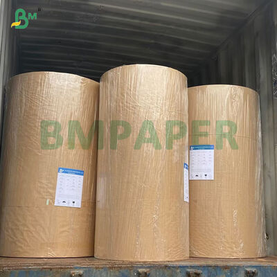 Bộ 3 Bộ 5 Bộ 7 Giấy cuộn chống dầu, phân hủy được, tẩy trắng