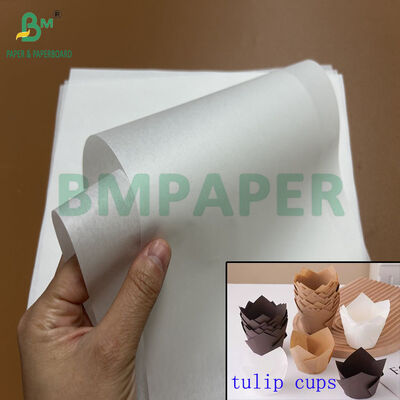 Giấy chống dầu an toàn thực phẩm 30gsm 40gsm cho cốc nướng hoa tulip cuộn 1100mm 1200mm