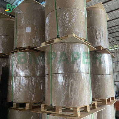 Giấy chống thấm sáp 56g phủ sáp cho túi bao trái cây xoài