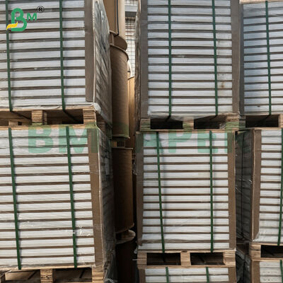 Giấy mỹ thuật C2S bóng hai mặt tráng phủ định lượng 100/180/200gsm