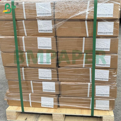 Giấy cuộn máy vẽ CAD khổ lớn A0 định lượng 80gsm | 914mm x 50m, 5 cuộn/thùng