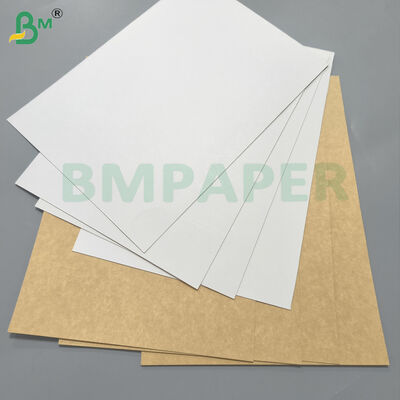 WTKB Bảng thực phẩm Một mặt Bảng Kraft phủ màu trắng cho bao bì thực phẩm trực tiếp