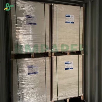 Bảng giấy không gỗ gọn gàng hai mặt 230g để in cuốn sách giáo khoa tiểu thuyết