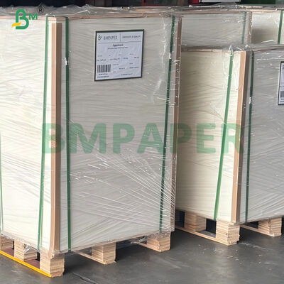 Giấy súp mì nóng tráng 20gsm 24gsm PE có khả năng chịu dầu cao