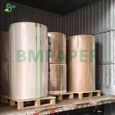 40 + 9 Bảng giấy kraft màu trắng phủ nhiều lớp PE Bảng giấy đóng gói chất lượng thực phẩm