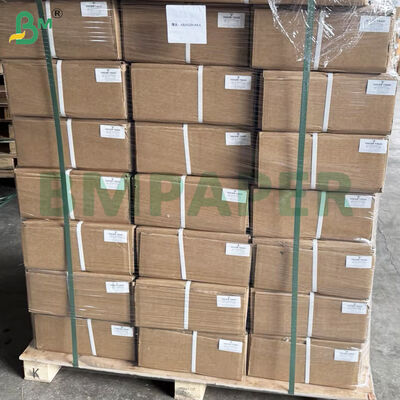 Cuộn giấy vẽ CAD 80gsm để in phun khổ lớn