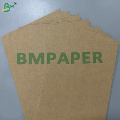 Giấy nền bã mía 200gsm 300gsm có thể phân hủy sinh học, chống dầu mỡ, cấp thực phẩm 100% cho đồ dùng một lần