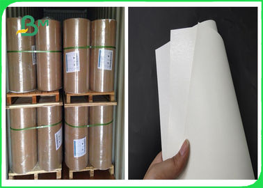 300gm Ivory Board + 15g PE phủ giấy với để làm hộp ăn trưa
