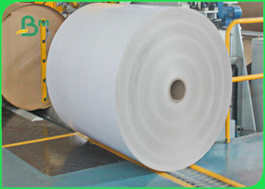 300gsm + 12g Giấy bọc Eth Eth Poly Các tông trắng trong tờ 61 * 86cm FDA