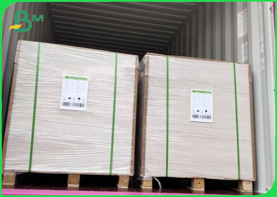 Bột giấy nguyên chất tráng FBB Ivory Board 305g / 345g In offset SGS FSC