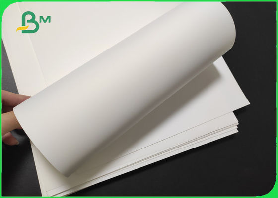 Giấy Polyester Matte trắng chống xé giấy Độ dày 100 - 500um