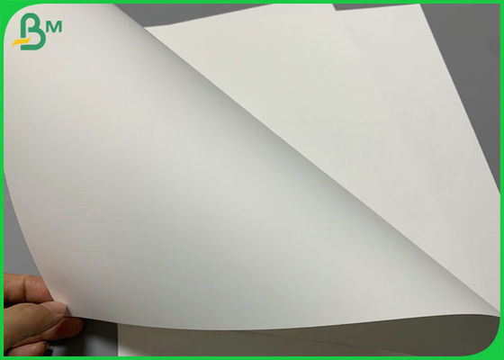 Cuộn giấy tổng hợp chống thấm nước 80um 100um in cho nhãn mã QR 700 x 1000mm