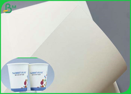 Giấy chứng nhận SGS 230g 260g PE Coated Cupstock Base Paper 850mm Roll
