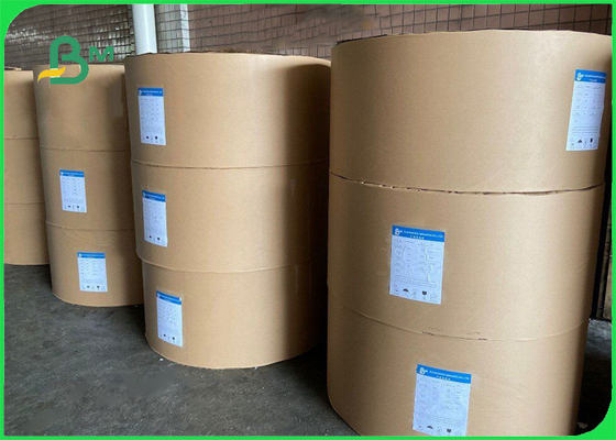 1S PE 240 gsm + 20g Giấy dự trữ cốc cho đồ uống nóng 747mm 886mm có thể tái chế