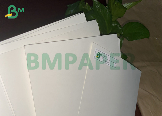 190 - 350 gsm Bát giấy dựa trên cốc để đóng gói thực phẩm có thể gập lại