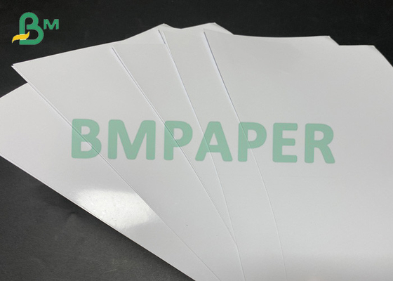 Cuộn giấy ảnh bóng trắng cao 230gsm 432mm để in phun