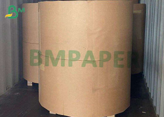 Cuộn giấy ảnh bóng trắng cao 230gsm 432mm để in phun