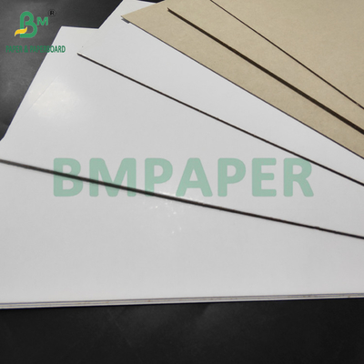 450gm 500gm C1S Duplex Board Grey Back For Toothpaste Box 800 x1000 mm