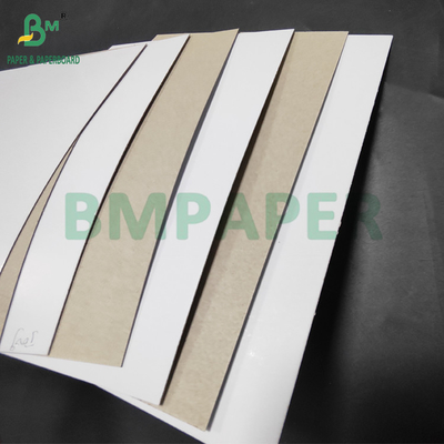 450gm 500gm C1S Duplex Board Grey Back For Toothpaste Box 800 x1000 mm