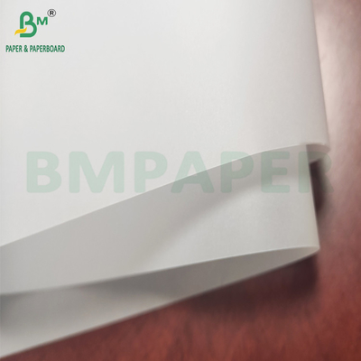 Tấm giấy da trắng minh bạch cao 50g - 130g