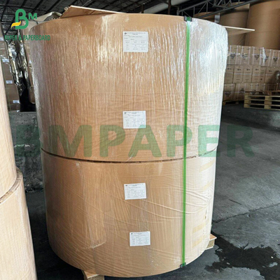 Bảng giấy bọc bọc giấy chống mỡ cho thực phẩm