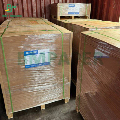 PE phủ một mặt giấy kraft màu nâu tấm lớn cho hộp ăn trưa 400gm + 15g