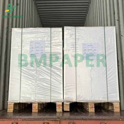 100 300 GSM tái chế giấy mía màu nâu màu xanh lá cây loại thực phẩm