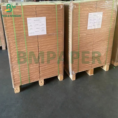 200gm 400gm Bột mía màu trắng tự nhiên Bảng giấy chất lượng thực phẩm