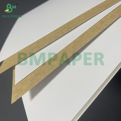 270gm 300gm chất lượng thực phẩm phủ sơn trắng trên cùng KLB Kraft Back Carrier Board 31 " 43"