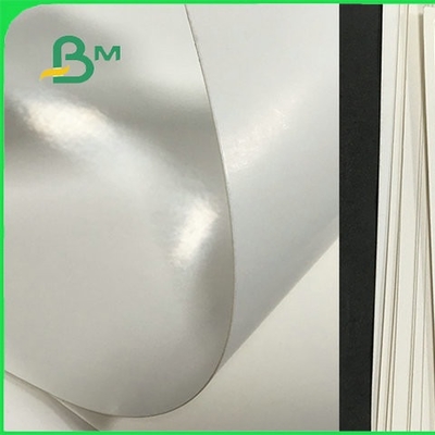 Thẻ thực phẩm PE phủ tấm gấp trong cuộn để sản xuất cốc giấy