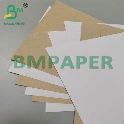 350g 79 x 109cm Bảng Duplex phủ với lưng màu xám cho bao bì dược phẩm