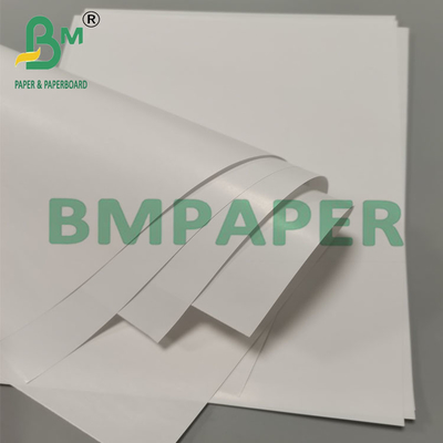 80g Biodegradable Proof Leak Cone Cup Bao bì giấy Món tráng miệng