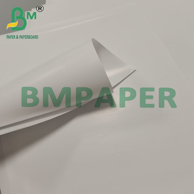 80g Biodegradable Proof Leak Cone Cup Bao bì giấy Món tráng miệng