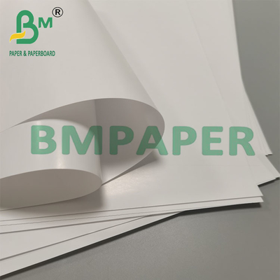 80g Biodegradable Proof Leak Cone Cup Bao bì giấy Món tráng miệng