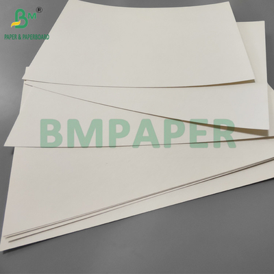190gm + 15g PE P1S Cup Paper Gloss cho quán cà phê Không thấm nước 720mm 880mm
