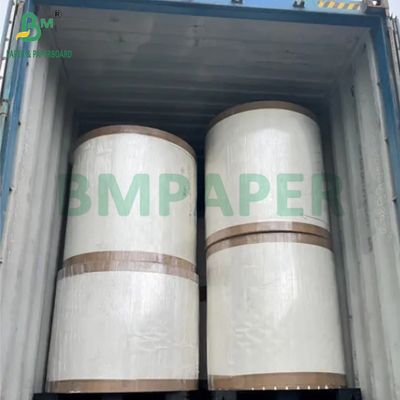 190gm + 15g PE P1S Cup Paper Gloss cho quán cà phê Không thấm nước 720mm 880mm