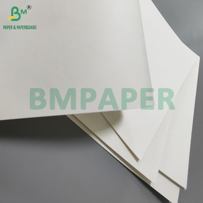 190gm + 15g PE P1S Cup Paper Gloss cho quán cà phê Không thấm nước 720mm 880mm