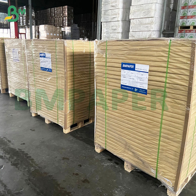 Bảng giấy lọc cà phê trắng và không sơn 50gm